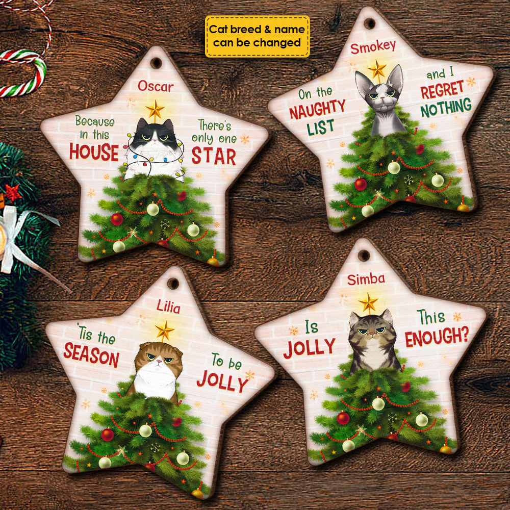 11761e2036f79017a25bf5646813f1f5 Because In This House - There's Only One Star - Personalized Custom Star Shaped Wood Christmas Ornament - 图片 1