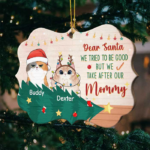 Personalized Custom Benelux Shaped Wood Christmas Ornament - Gift For Pet Lovers, Christmas Gift - 图片 4
